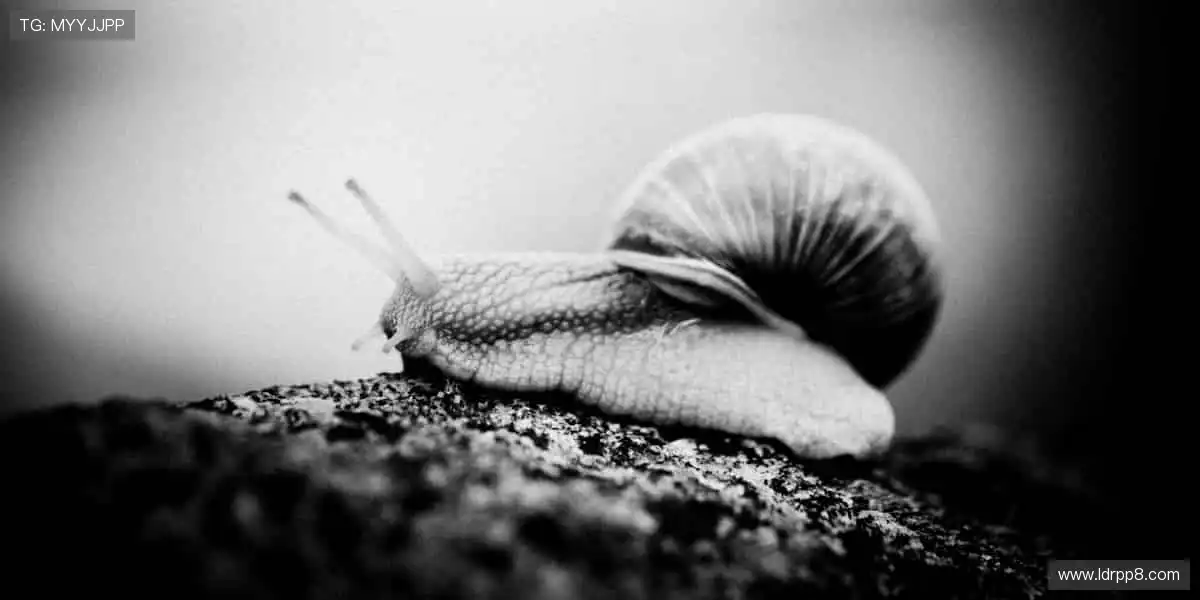 ⚽️ 点燃激情，见证赛事高光时刻！